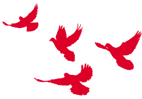 1627867035026.png 5.png